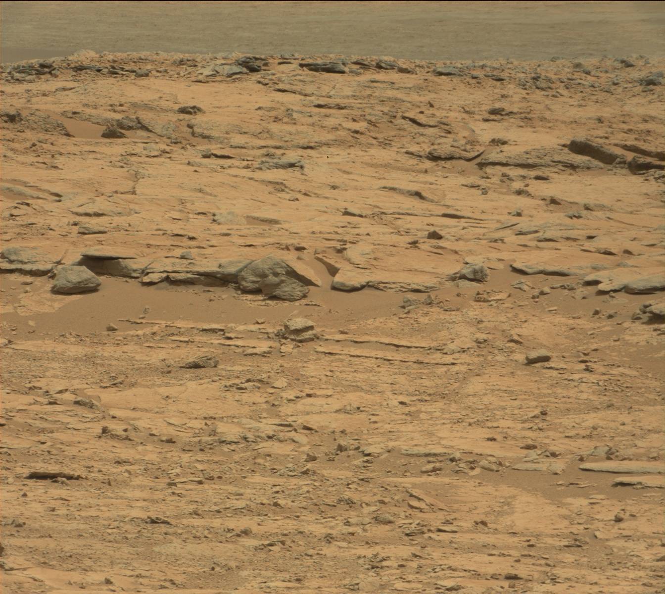 Nasa's Mars rover Curiosity acquired this image using its Mast Camera (Mastcam) on Sol 147