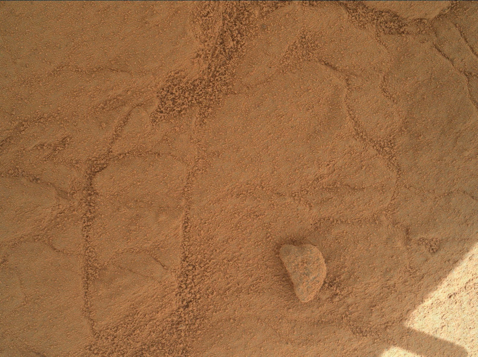 Nasa's Mars rover Curiosity acquired this image using its Mars Hand Lens Imager (MAHLI) on Sol 150