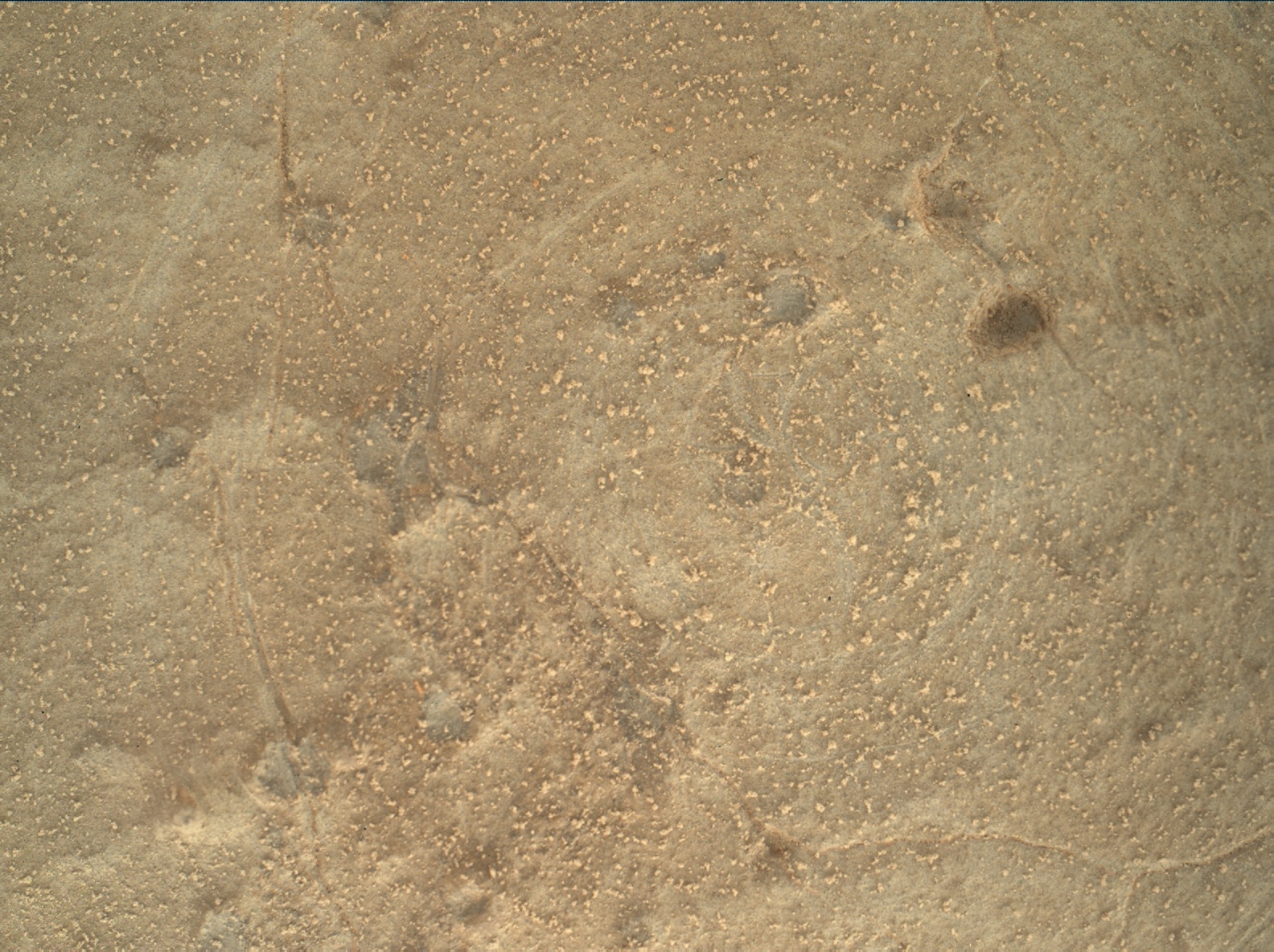 Nasa's Mars rover Curiosity acquired this image using its Mars Hand Lens Imager (MAHLI) on Sol 150