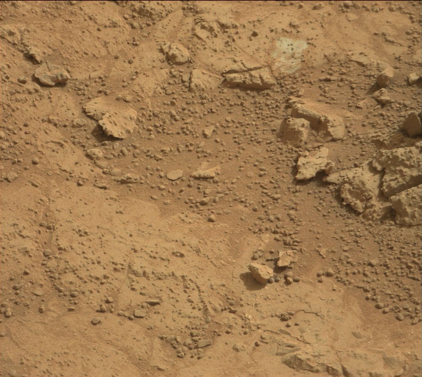 Nasa's Mars rover Curiosity acquired this image using its Mast Camera (Mastcam) on Sol 151