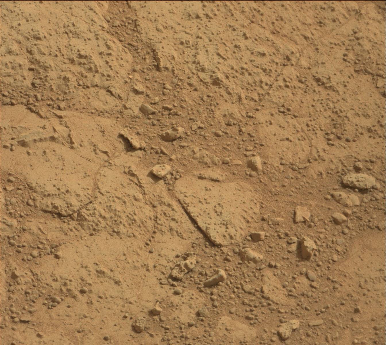 Nasa's Mars rover Curiosity acquired this image using its Mast Camera (Mastcam) on Sol 151