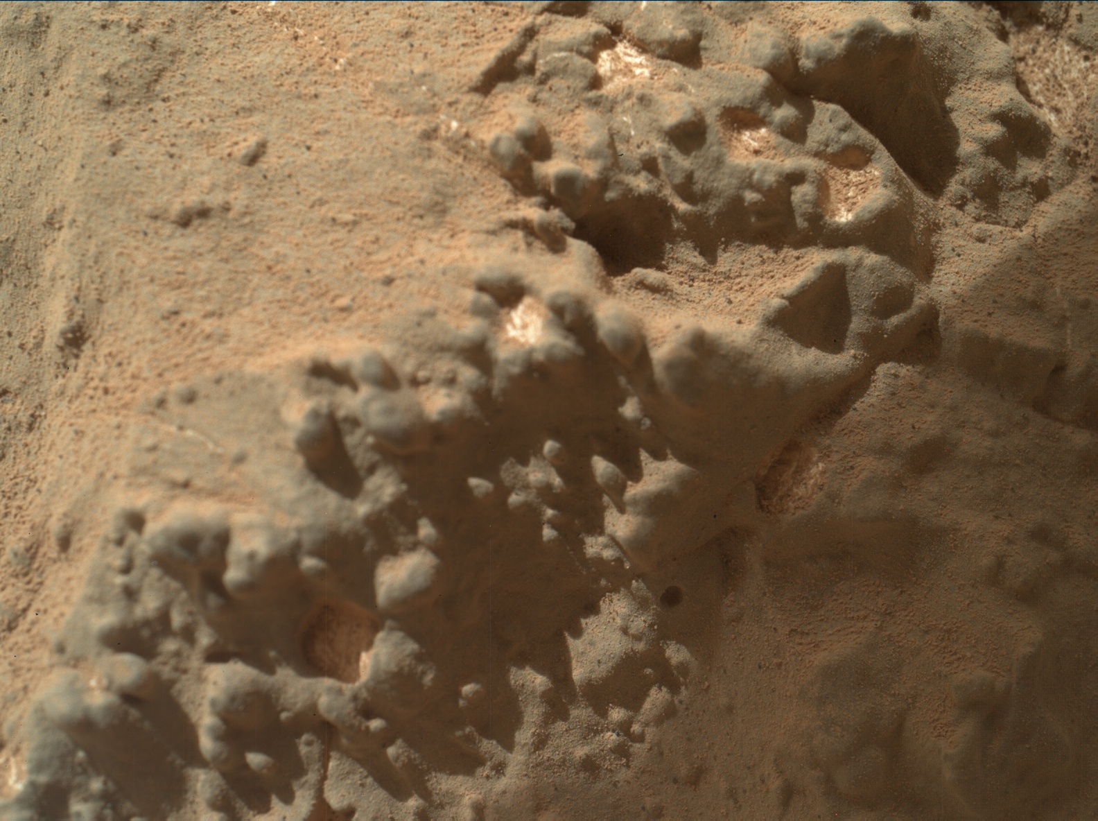 Nasa's Mars rover Curiosity acquired this image using its Mars Hand Lens Imager (MAHLI) on Sol 154