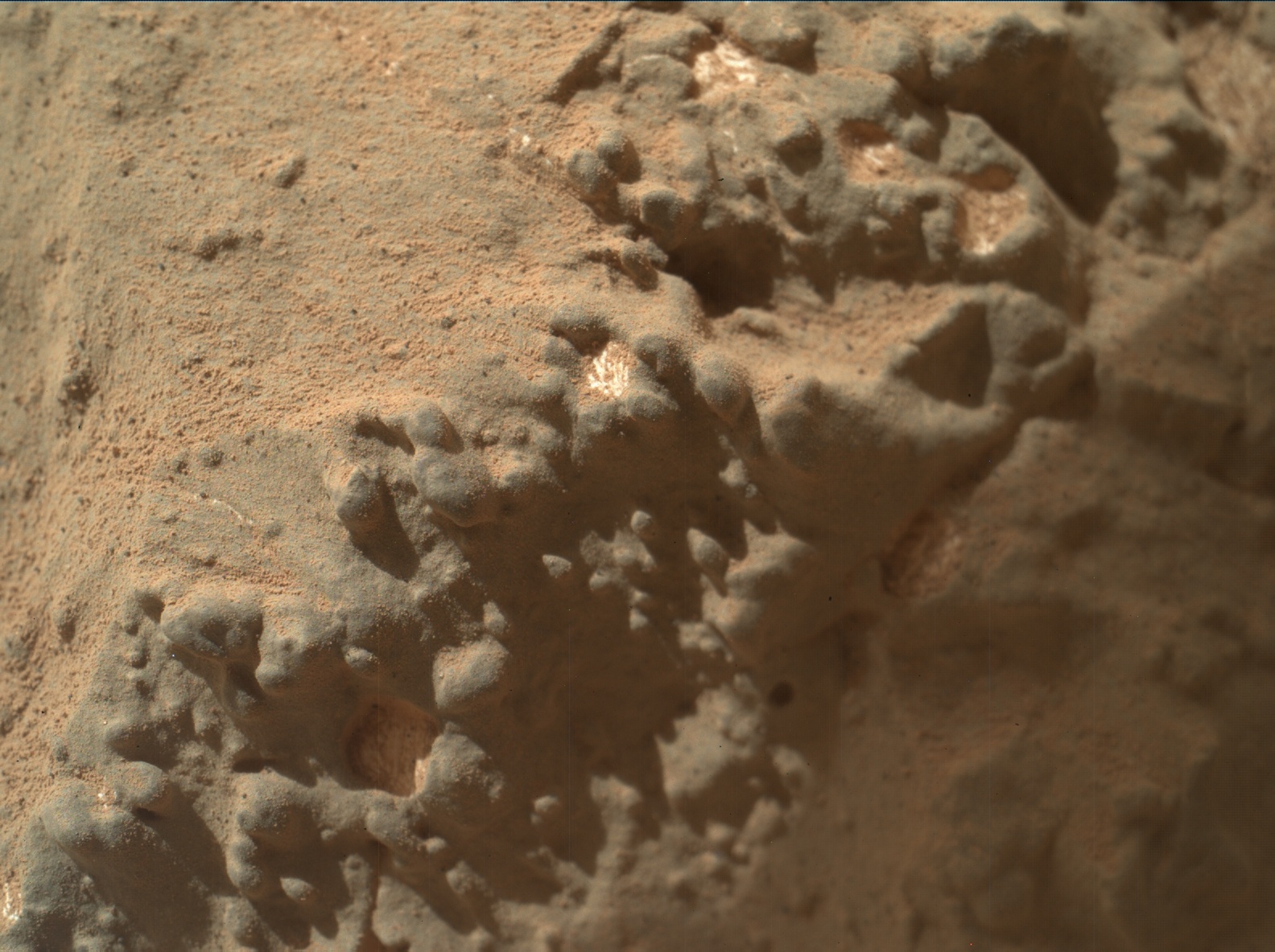 Nasa's Mars rover Curiosity acquired this image using its Mars Hand Lens Imager (MAHLI) on Sol 154