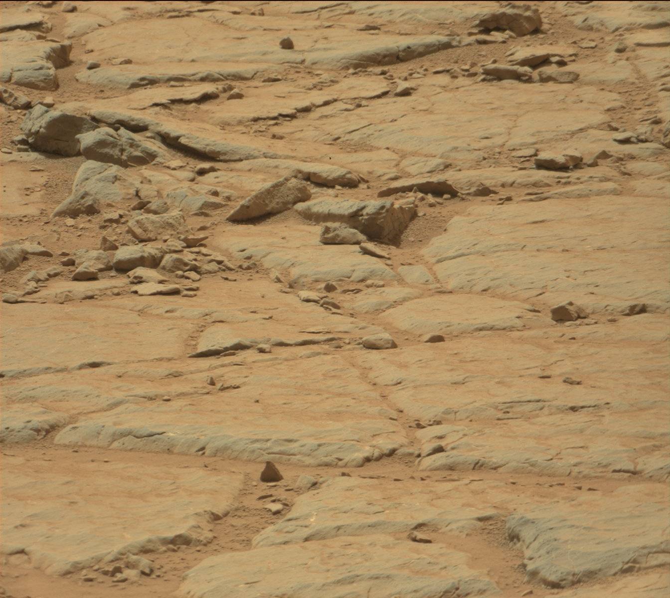 Nasa's Mars rover Curiosity acquired this image using its Mast Camera (Mastcam) on Sol 155