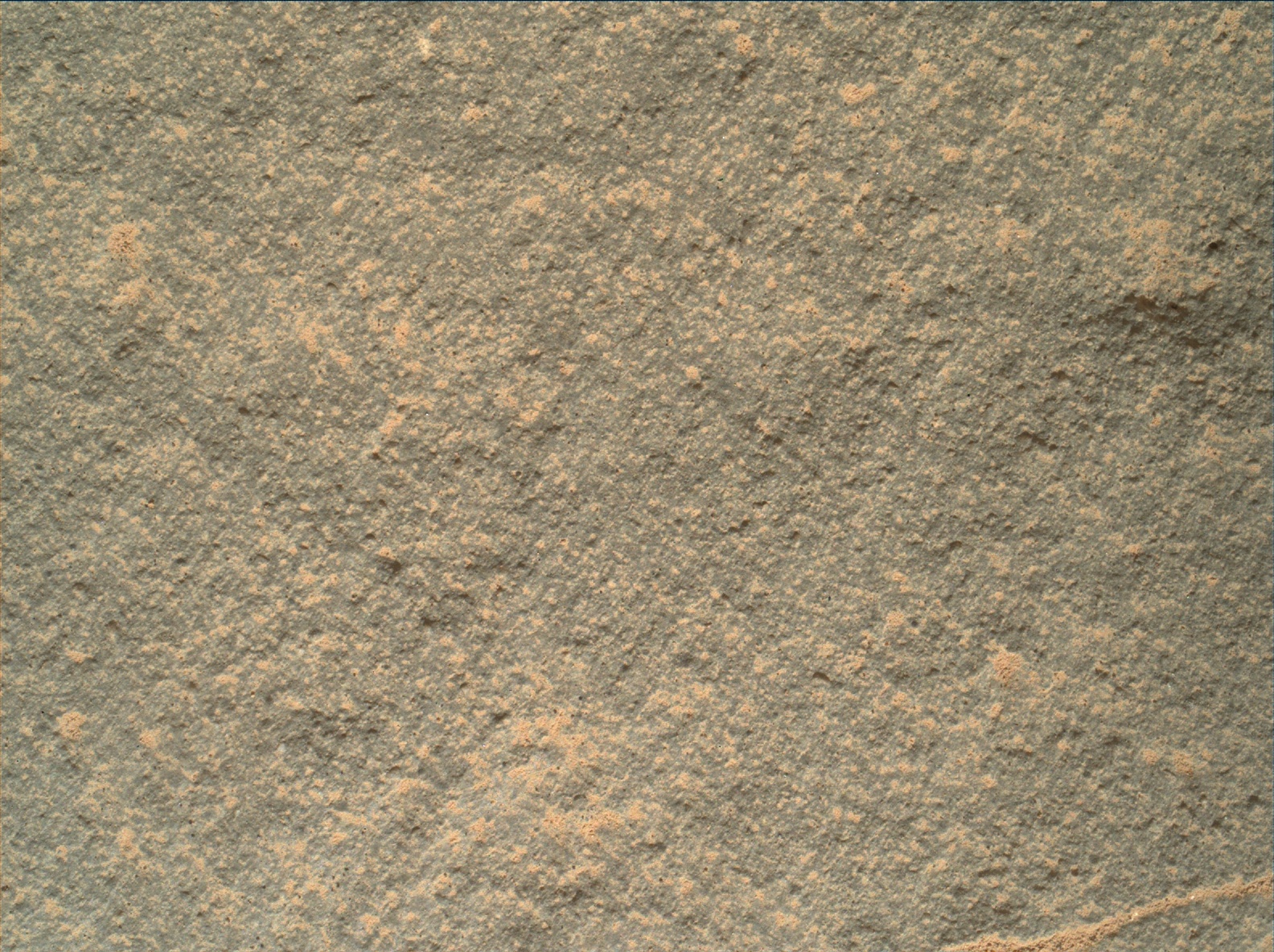 Nasa's Mars rover Curiosity acquired this image using its Mars Hand Lens Imager (MAHLI) on Sol 156