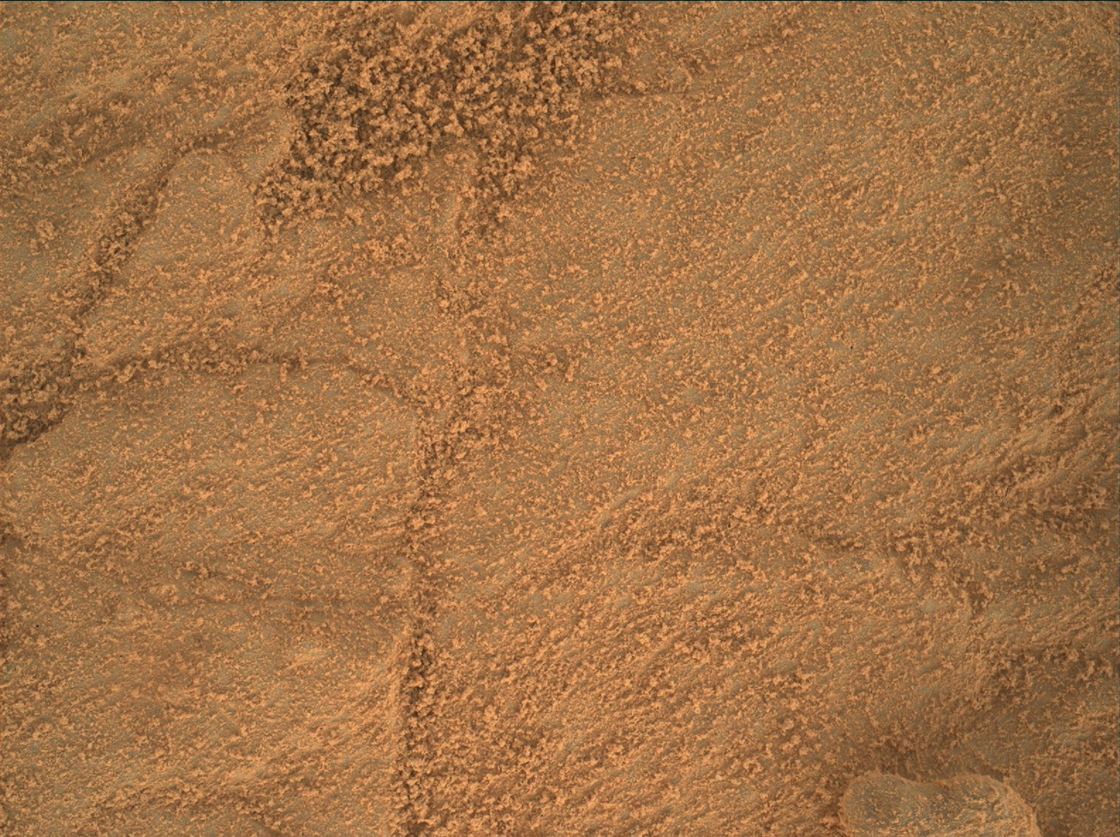 Nasa's Mars rover Curiosity acquired this image using its Mars Hand Lens Imager (MAHLI) on Sol 156