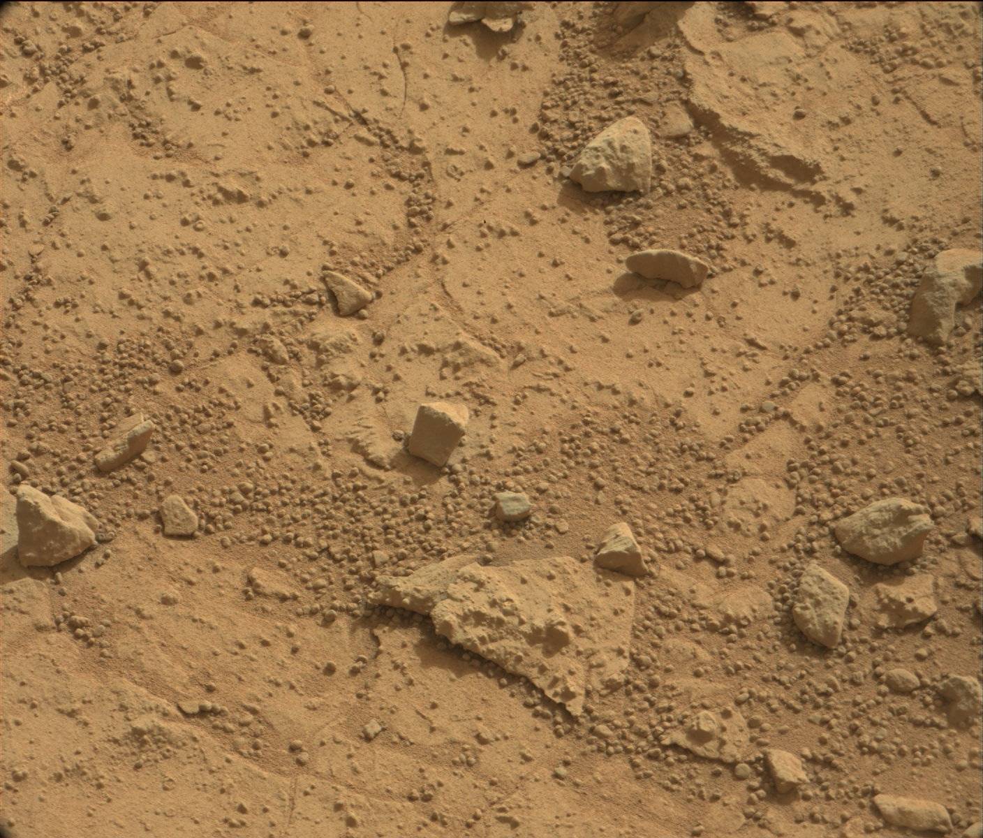 Nasa's Mars rover Curiosity acquired this image using its Mast Camera (Mastcam) on Sol 159
