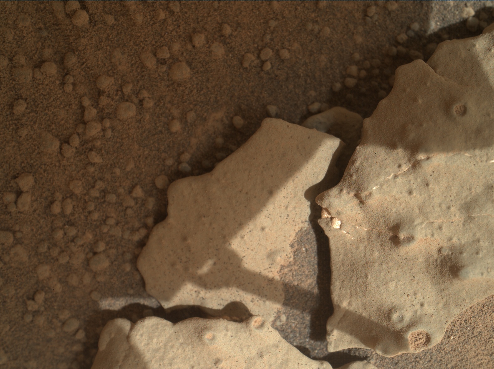 Nasa's Mars rover Curiosity acquired this image using its Mars Hand Lens Imager (MAHLI) on Sol 159