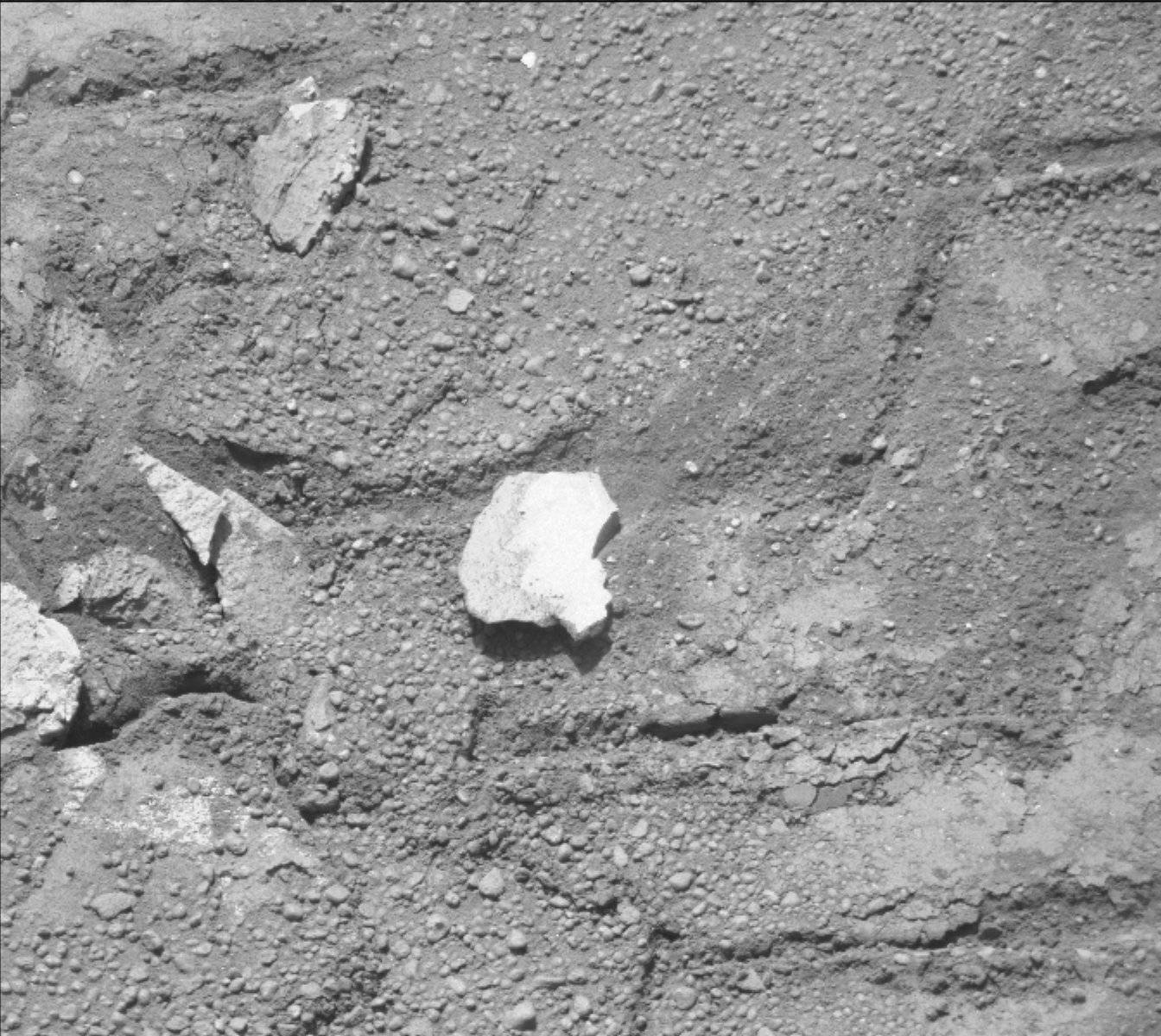 Nasa's Mars rover Curiosity acquired this image using its Mast Camera (Mastcam) on Sol 160