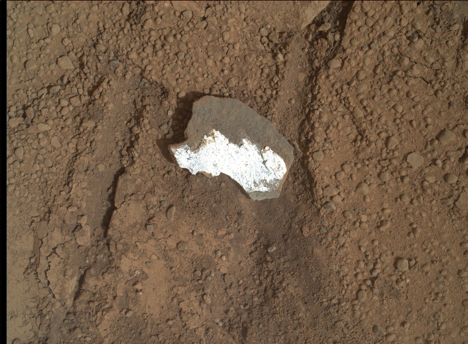 Nasa's Mars rover Curiosity acquired this image using its Mars Hand Lens Imager (MAHLI) on Sol 160