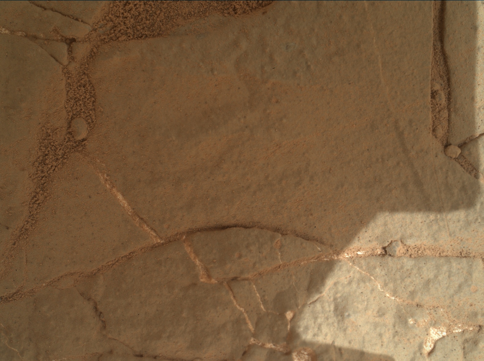 Nasa's Mars rover Curiosity acquired this image using its Mars Hand Lens Imager (MAHLI) on Sol 161