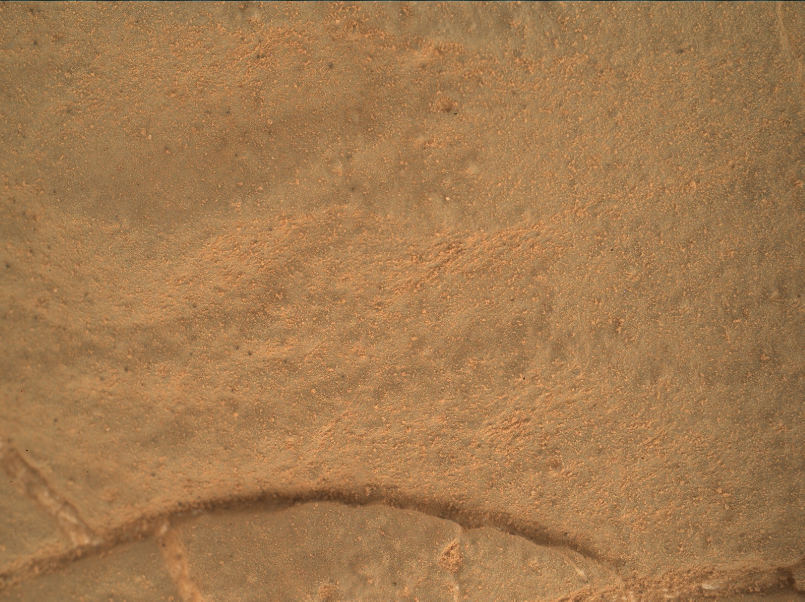Nasa's Mars rover Curiosity acquired this image using its Mars Hand Lens Imager (MAHLI) on Sol 161