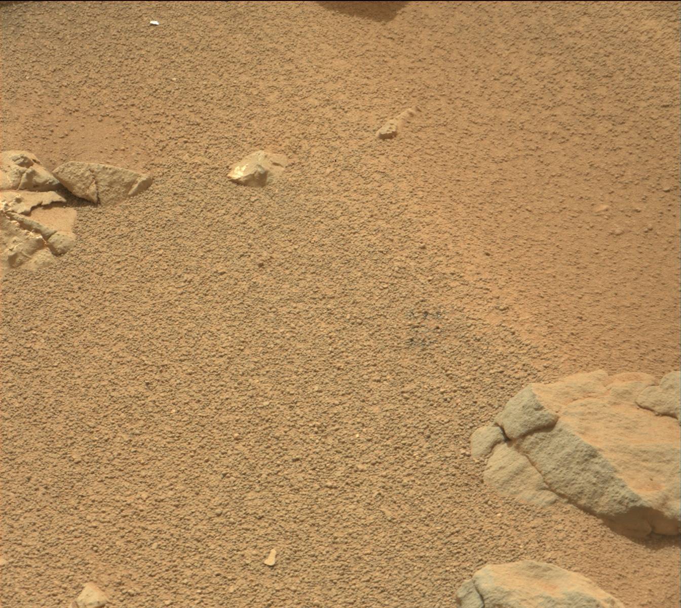 Nasa's Mars rover Curiosity acquired this image using its Mast Camera (Mastcam) on Sol 162
