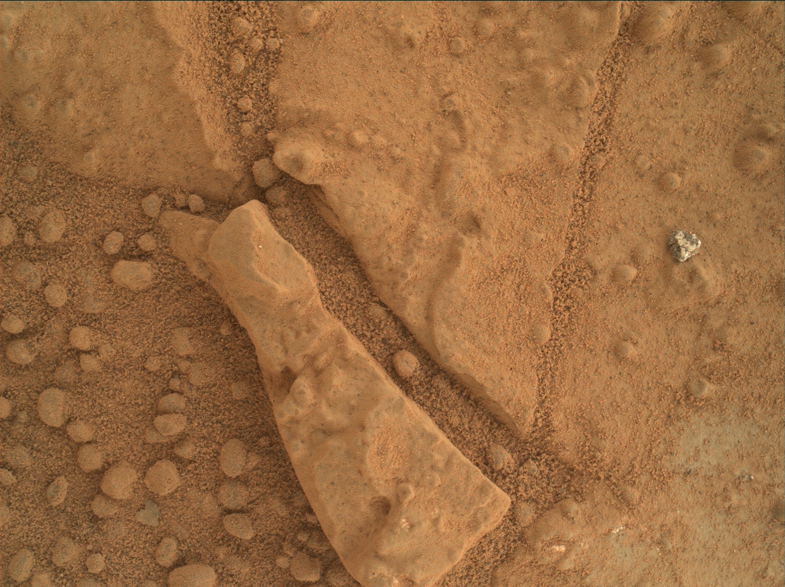 Nasa's Mars rover Curiosity acquired this image using its Mars Hand Lens Imager (MAHLI) on Sol 162
