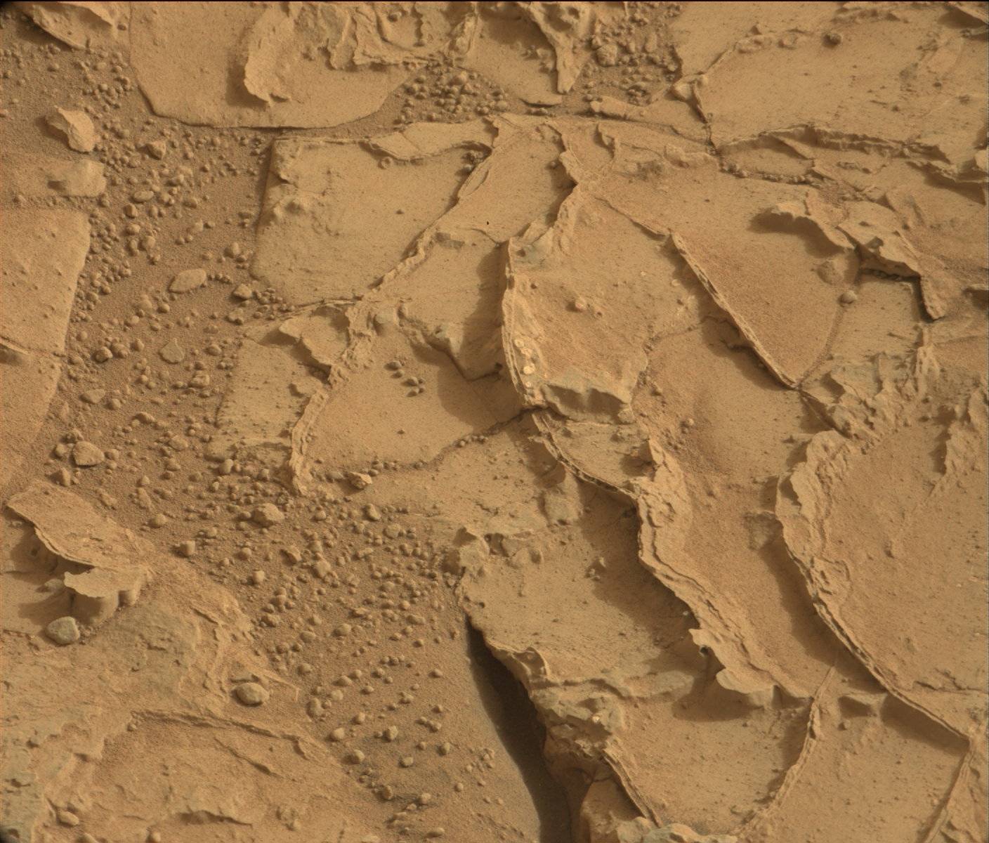 Nasa's Mars rover Curiosity acquired this image using its Mast Camera (Mastcam) on Sol 164