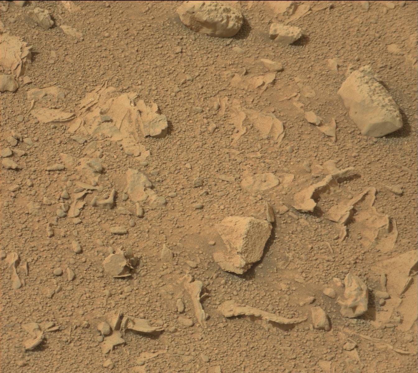Nasa's Mars rover Curiosity acquired this image using its Mast Camera (Mastcam) on Sol 165
