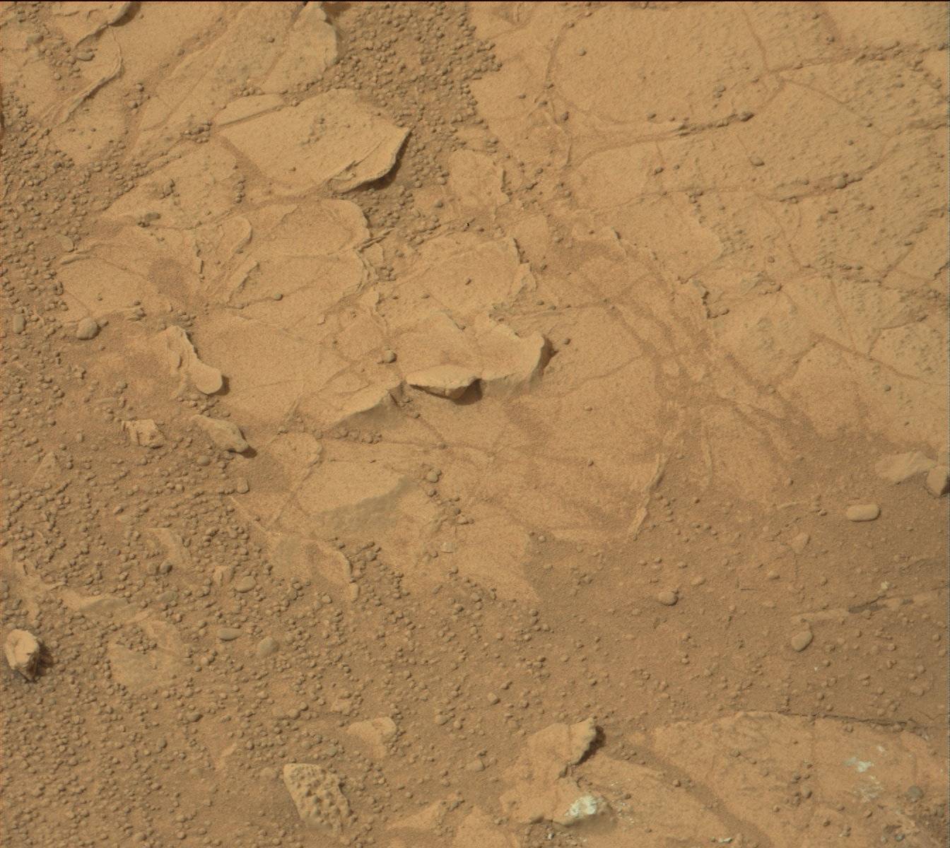 Nasa's Mars rover Curiosity acquired this image using its Mast Camera (Mastcam) on Sol 165