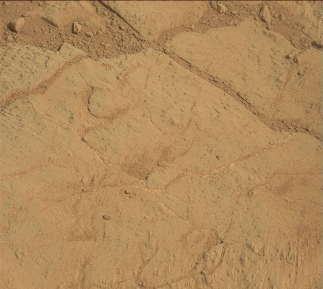 Nasa's Mars rover Curiosity acquired this image using its Mast Camera (Mastcam) on Sol 166