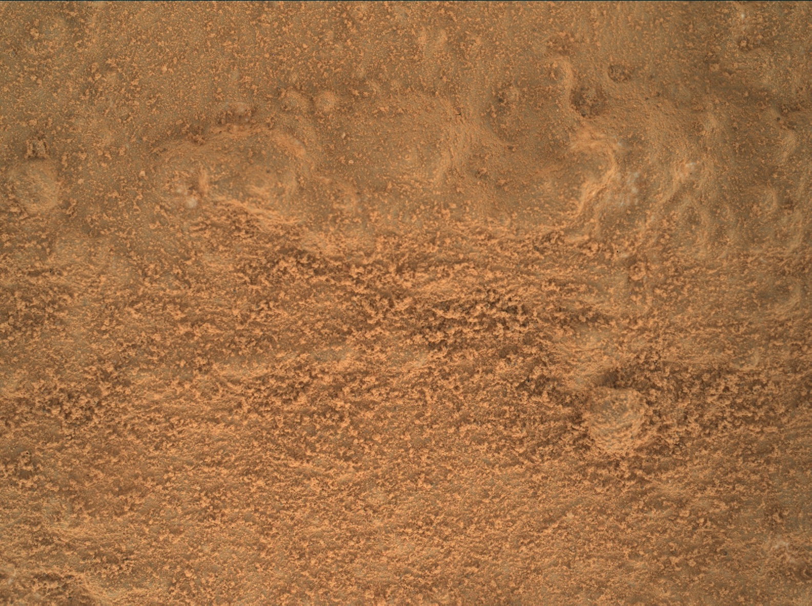 Nasa's Mars rover Curiosity acquired this image using its Mars Hand Lens Imager (MAHLI) on Sol 168