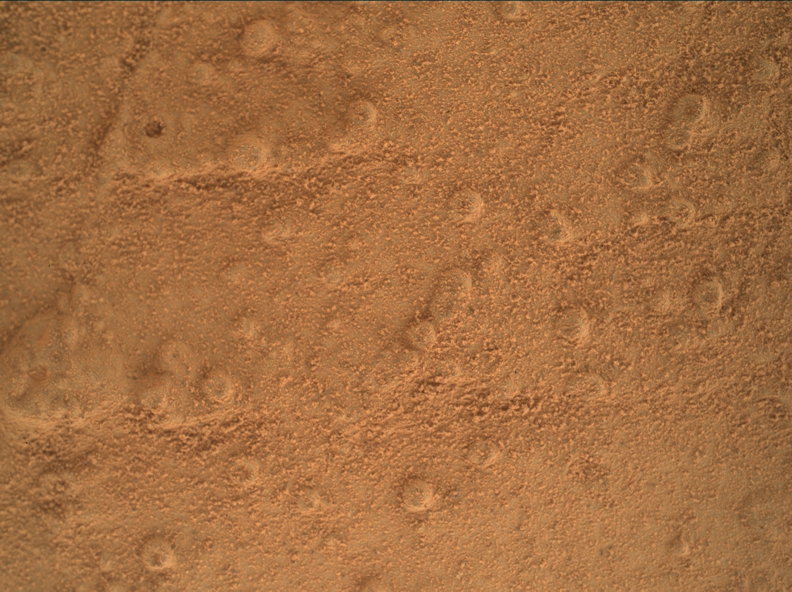 Nasa's Mars rover Curiosity acquired this image using its Mars Hand Lens Imager (MAHLI) on Sol 169
