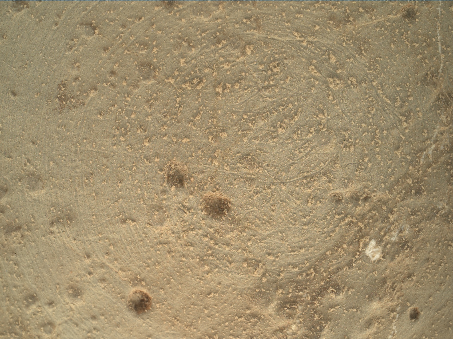 Nasa's Mars rover Curiosity acquired this image using its Mars Hand Lens Imager (MAHLI) on Sol 169