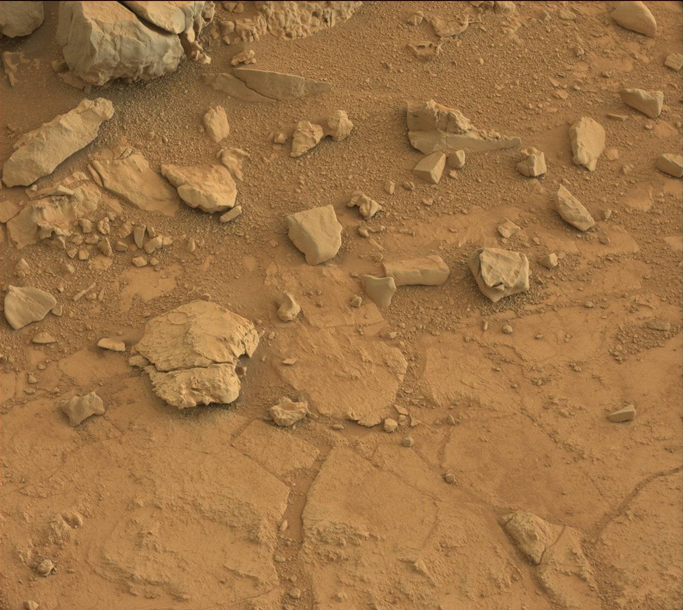 Nasa's Mars rover Curiosity acquired this image using its Mast Camera (Mastcam) on Sol 170