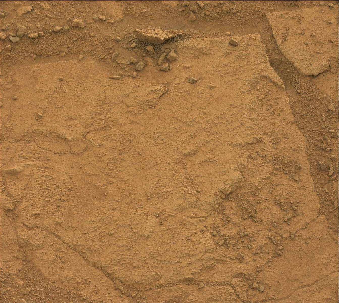 Nasa's Mars rover Curiosity acquired this image using its Mast Camera (Mastcam) on Sol 170