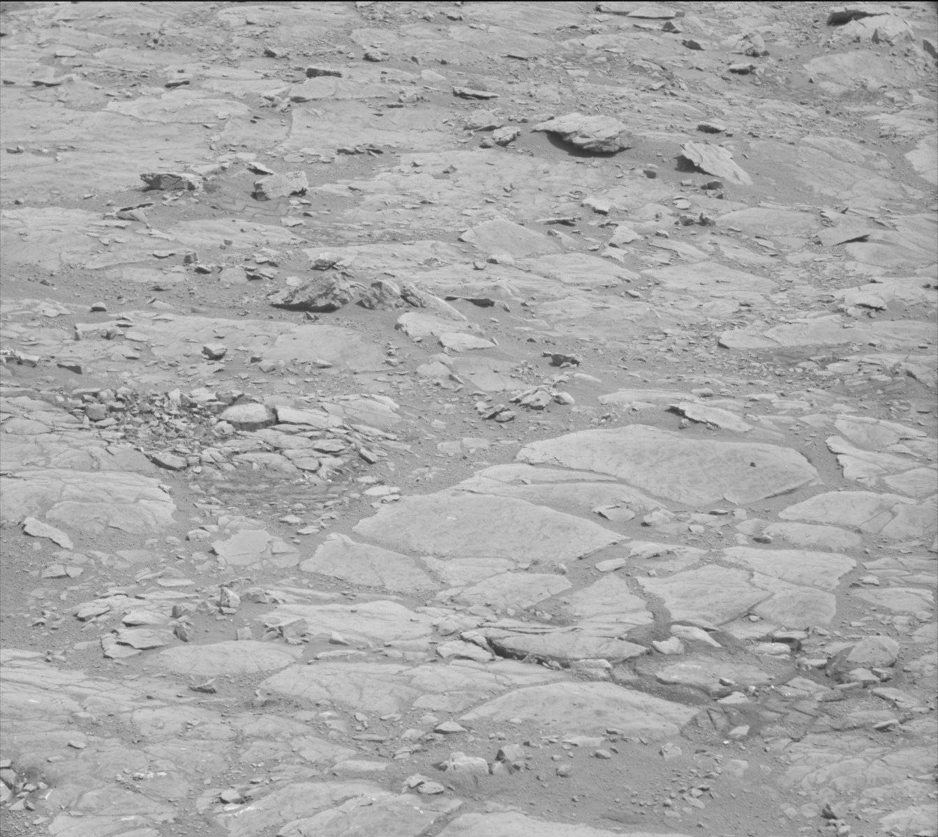 Nasa's Mars rover Curiosity acquired this image using its Mast Camera (Mastcam) on Sol 171