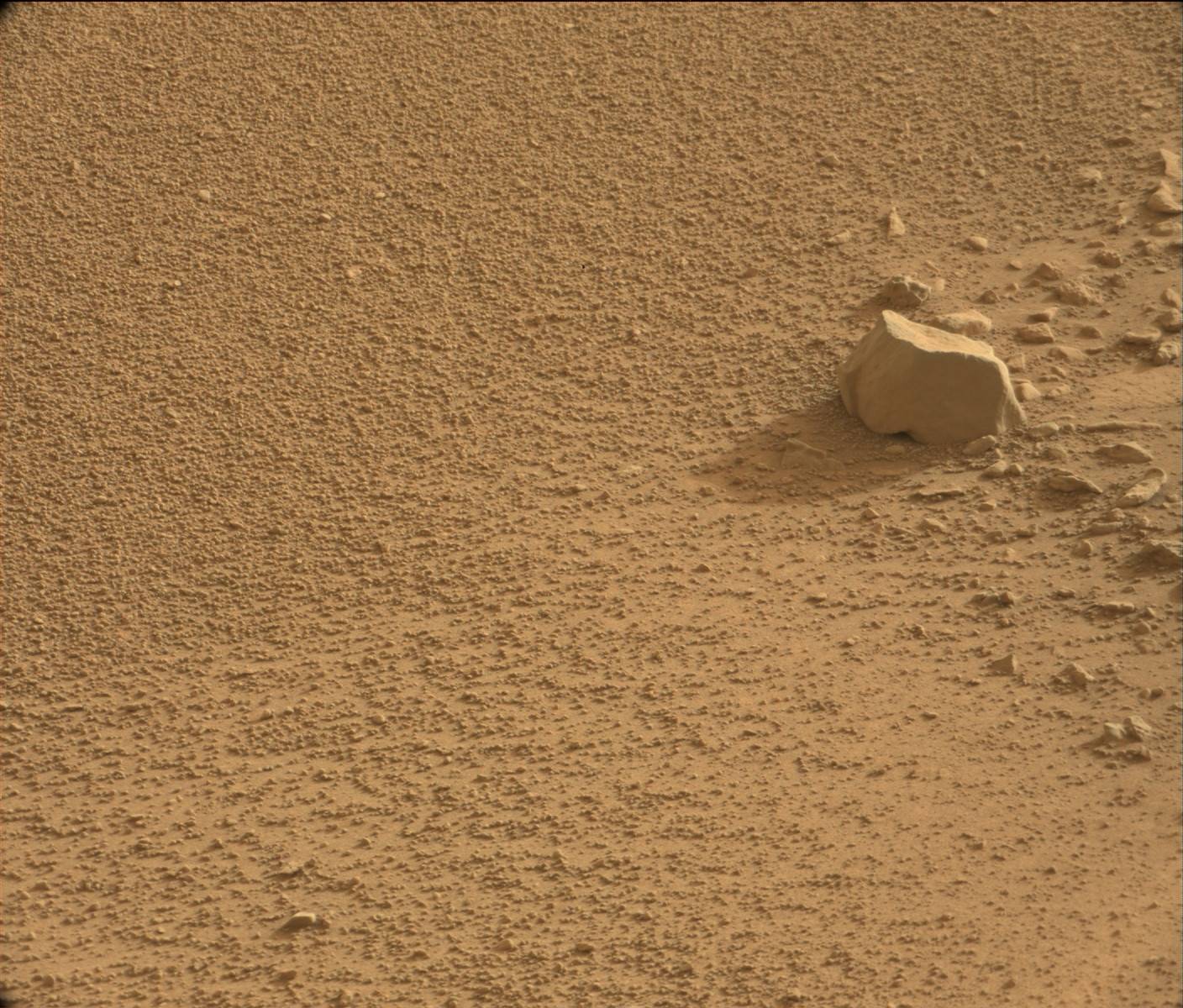 Nasa's Mars rover Curiosity acquired this image using its Mast Camera (Mastcam) on Sol 173