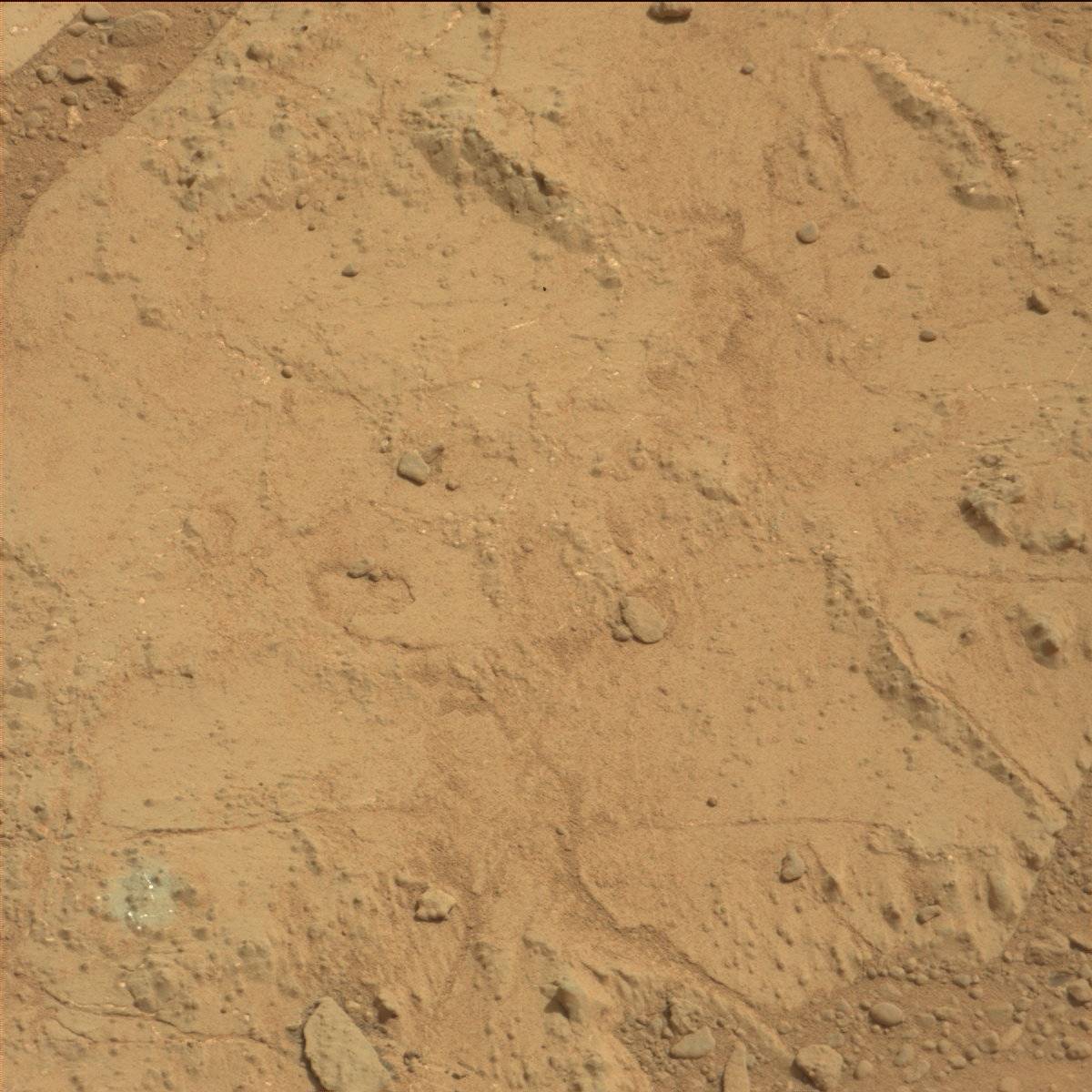 Nasa's Mars rover Curiosity acquired this image using its Mast Camera (Mastcam) on Sol 178