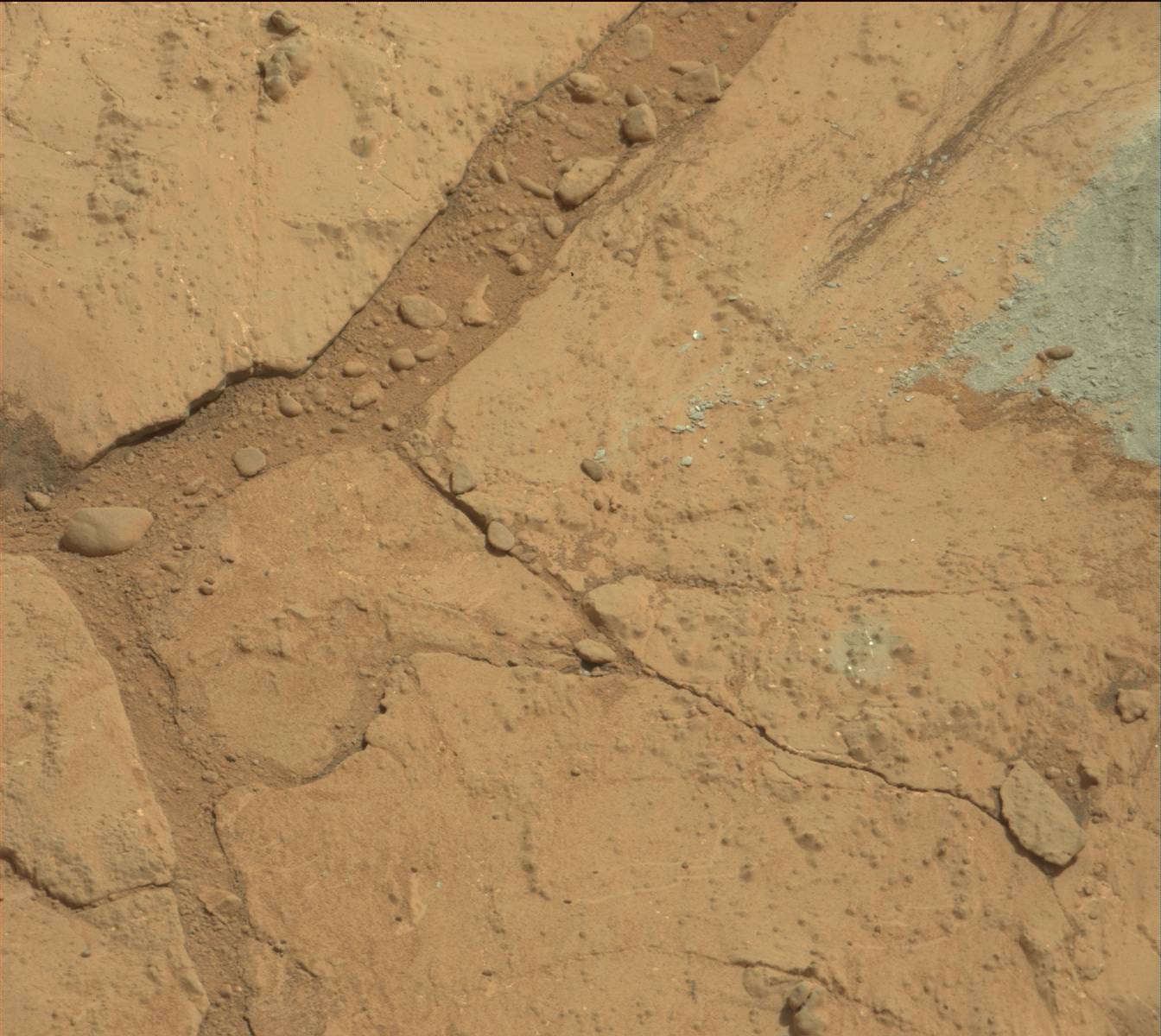 Nasa's Mars rover Curiosity acquired this image using its Mast Camera (Mastcam) on Sol 181