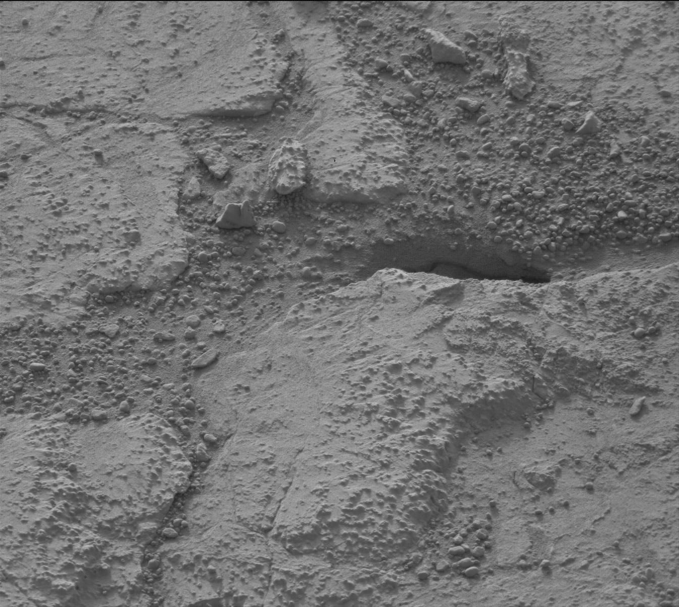 Nasa's Mars rover Curiosity acquired this image using its Mast Camera (Mastcam) on Sol 183
