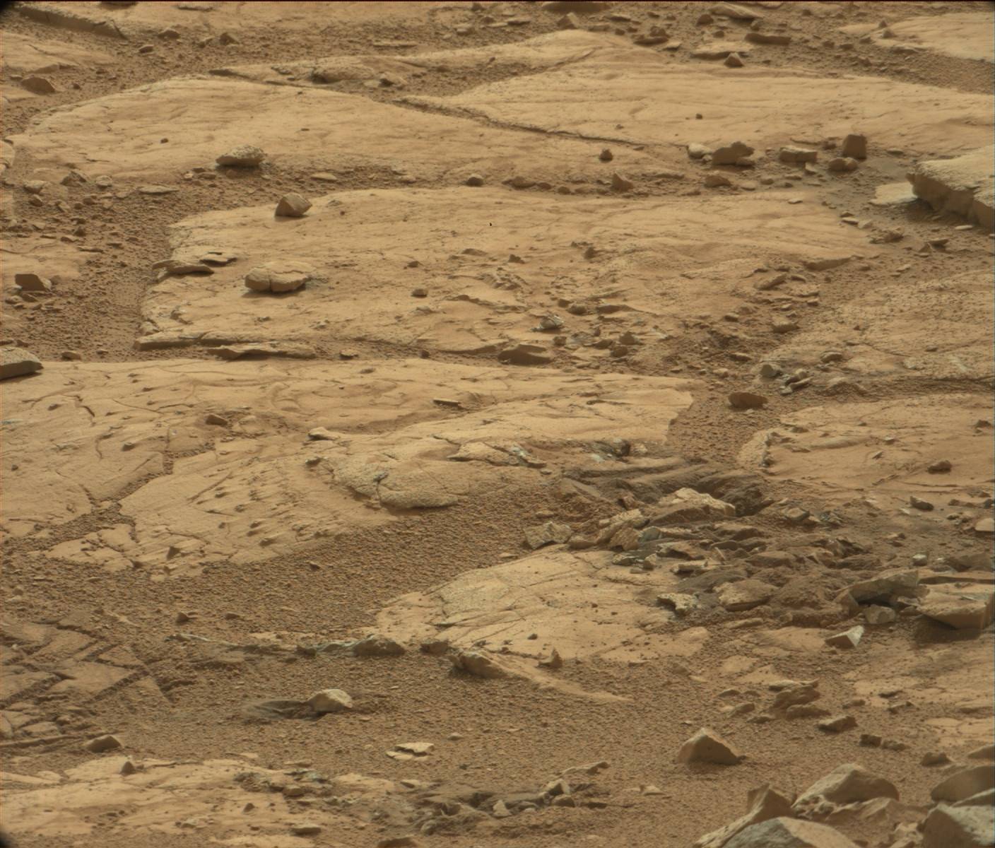 Nasa's Mars rover Curiosity acquired this image using its Mast Camera (Mastcam) on Sol 184