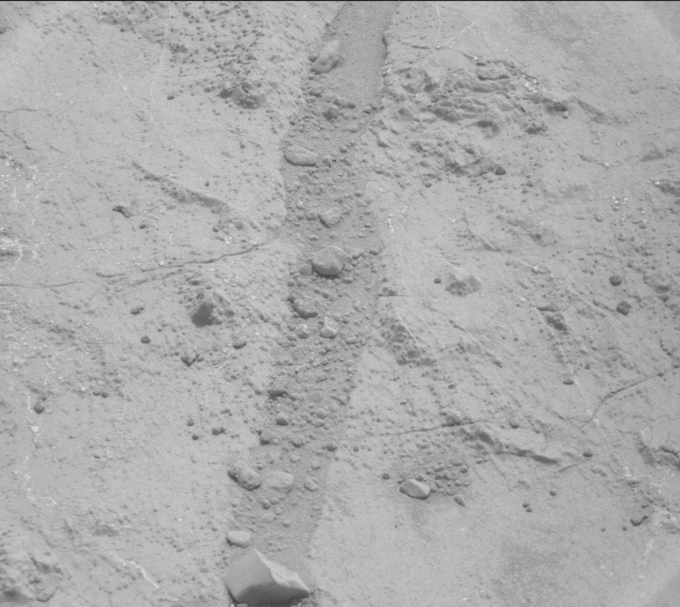 Nasa's Mars rover Curiosity acquired this image using its Mast Camera (Mastcam) on Sol 185