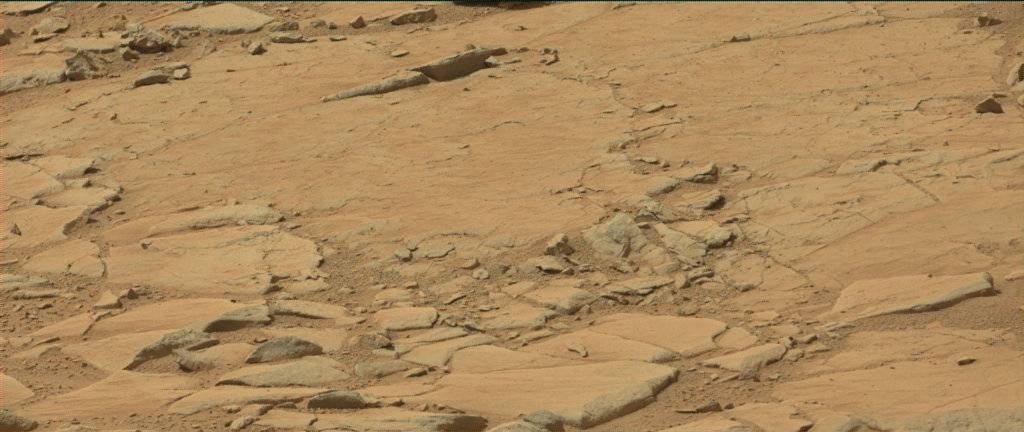 Nasa's Mars rover Curiosity acquired this image using its Mast Camera (Mastcam) on Sol 186