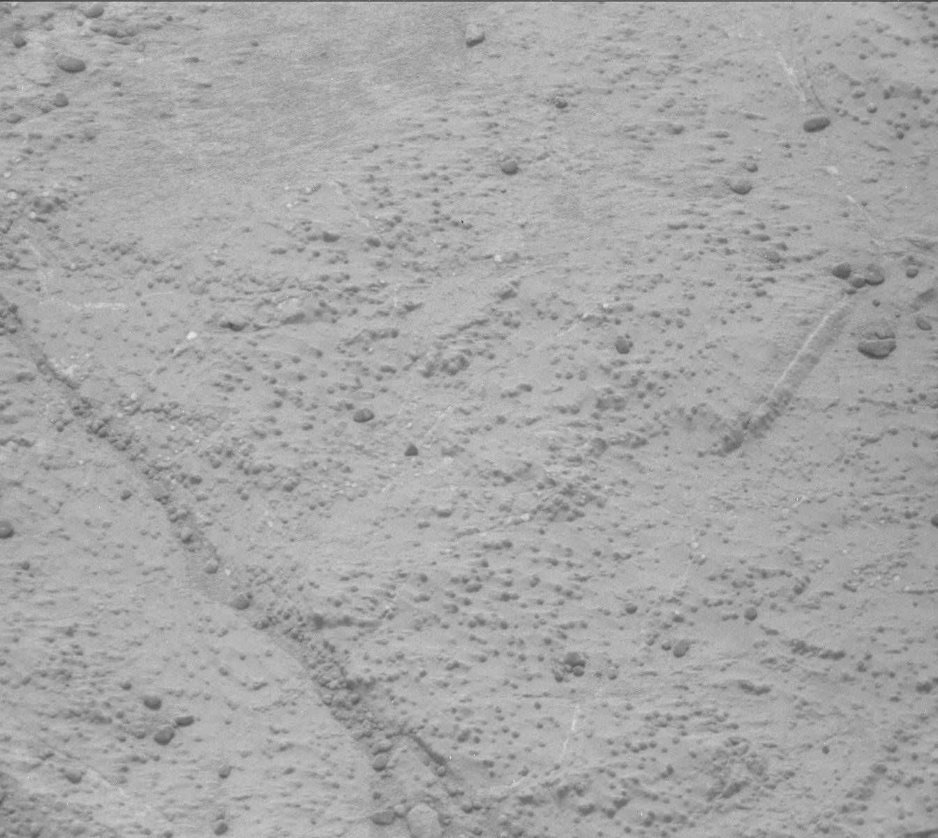 Nasa's Mars rover Curiosity acquired this image using its Mast Camera (Mastcam) on Sol 189