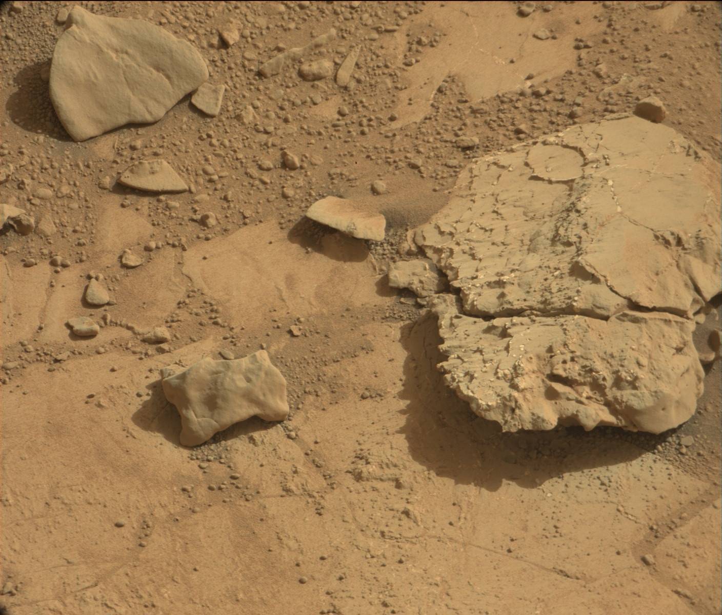 Nasa's Mars rover Curiosity acquired this image using its Mast Camera (Mastcam) on Sol 192