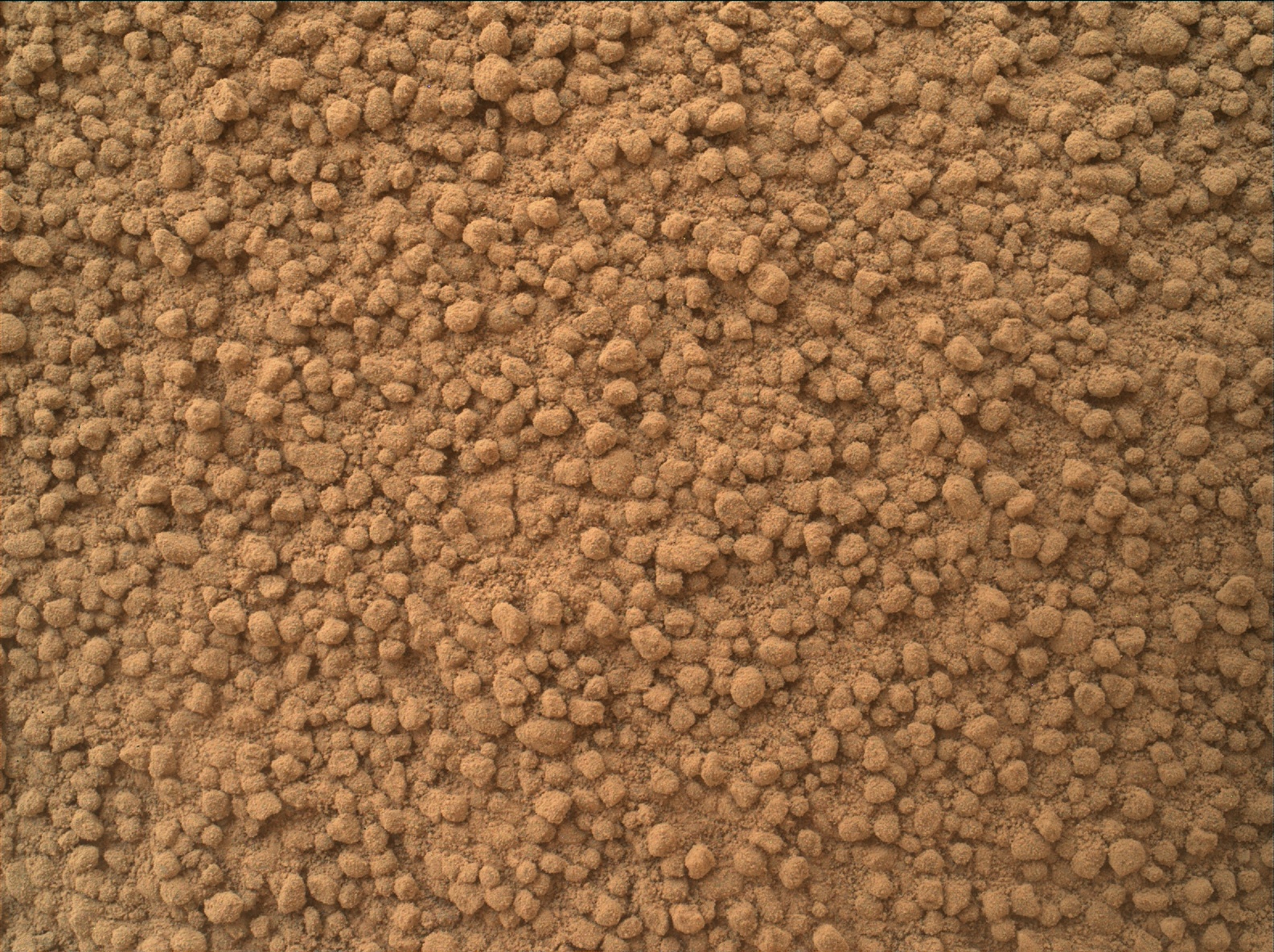 Nasa's Mars rover Curiosity acquired this image using its Mars Hand Lens Imager (MAHLI) on Sol 192
