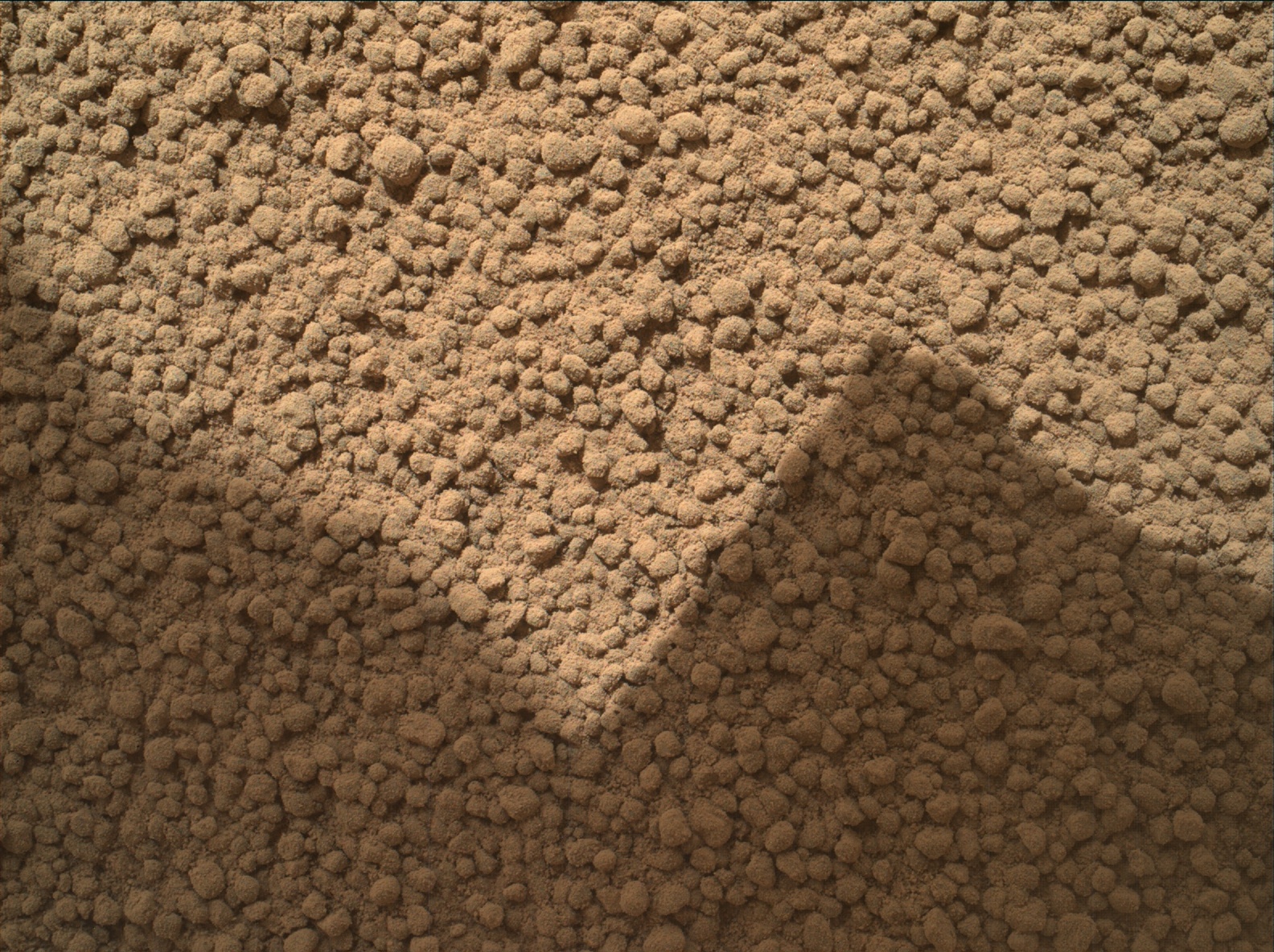 Nasa's Mars rover Curiosity acquired this image using its Mars Hand Lens Imager (MAHLI) on Sol 192