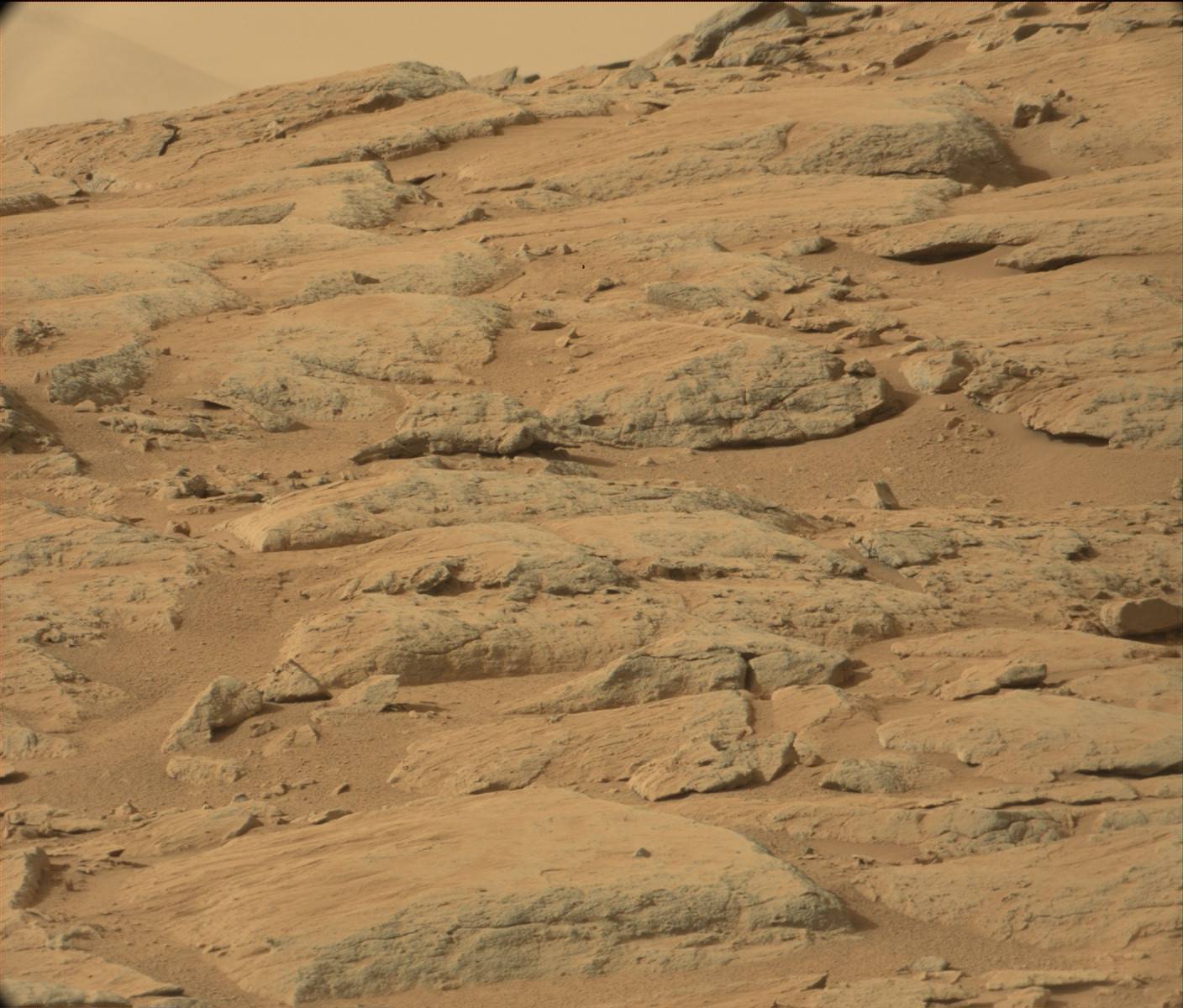 Nasa's Mars rover Curiosity acquired this image using its Mast Camera (Mastcam) on Sol 194