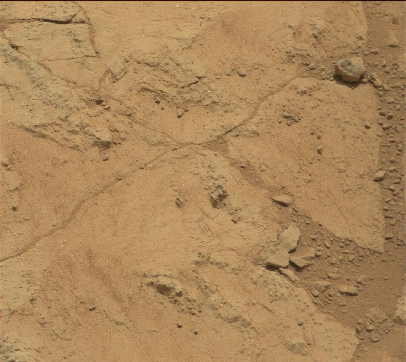 Nasa's Mars rover Curiosity acquired this image using its Mast Camera (Mastcam) on Sol 200