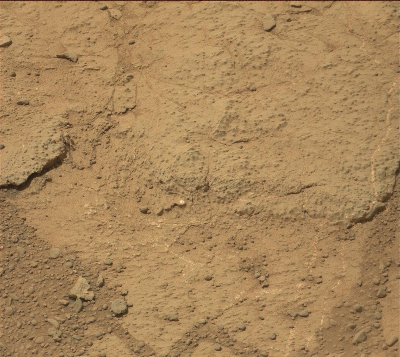 Nasa's Mars rover Curiosity acquired this image using its Mast Camera (Mastcam) on Sol 227
