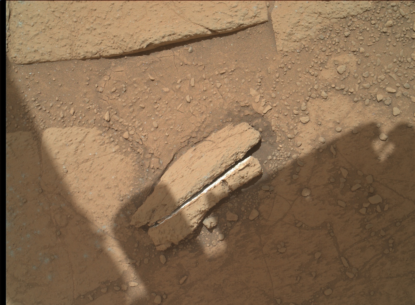 Nasa's Mars rover Curiosity acquired this image using its Mars Hand Lens Imager (MAHLI) on Sol 231