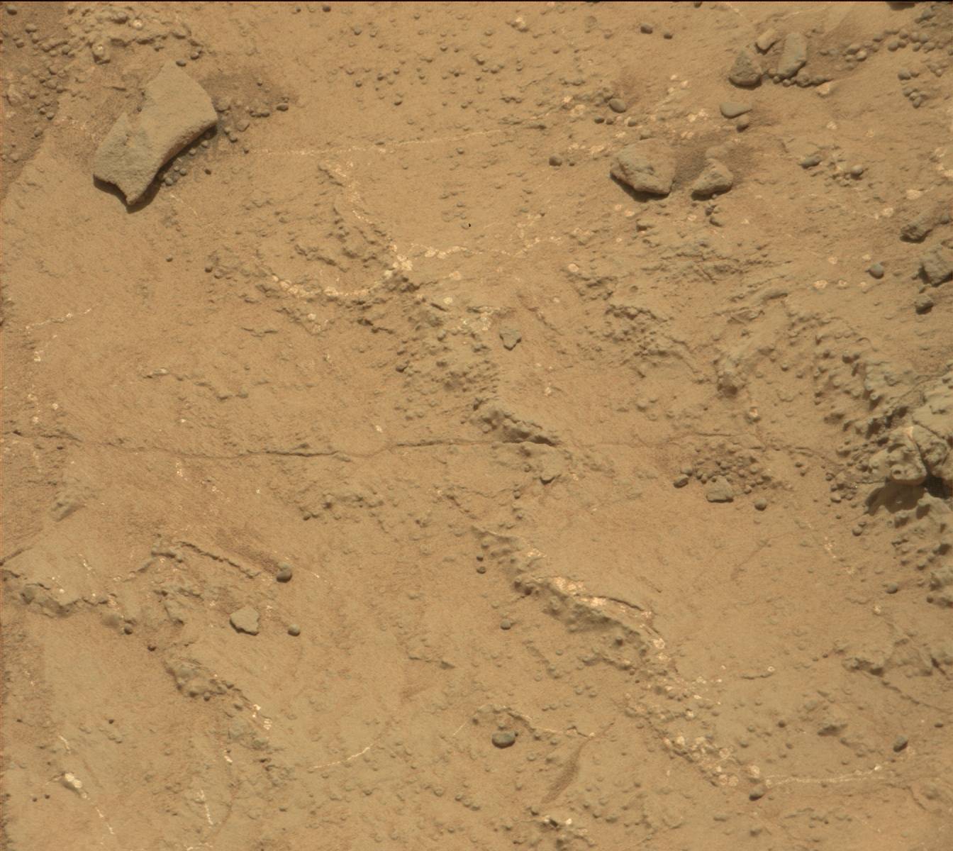 Nasa's Mars rover Curiosity acquired this image using its Mast Camera (Mastcam) on Sol 232