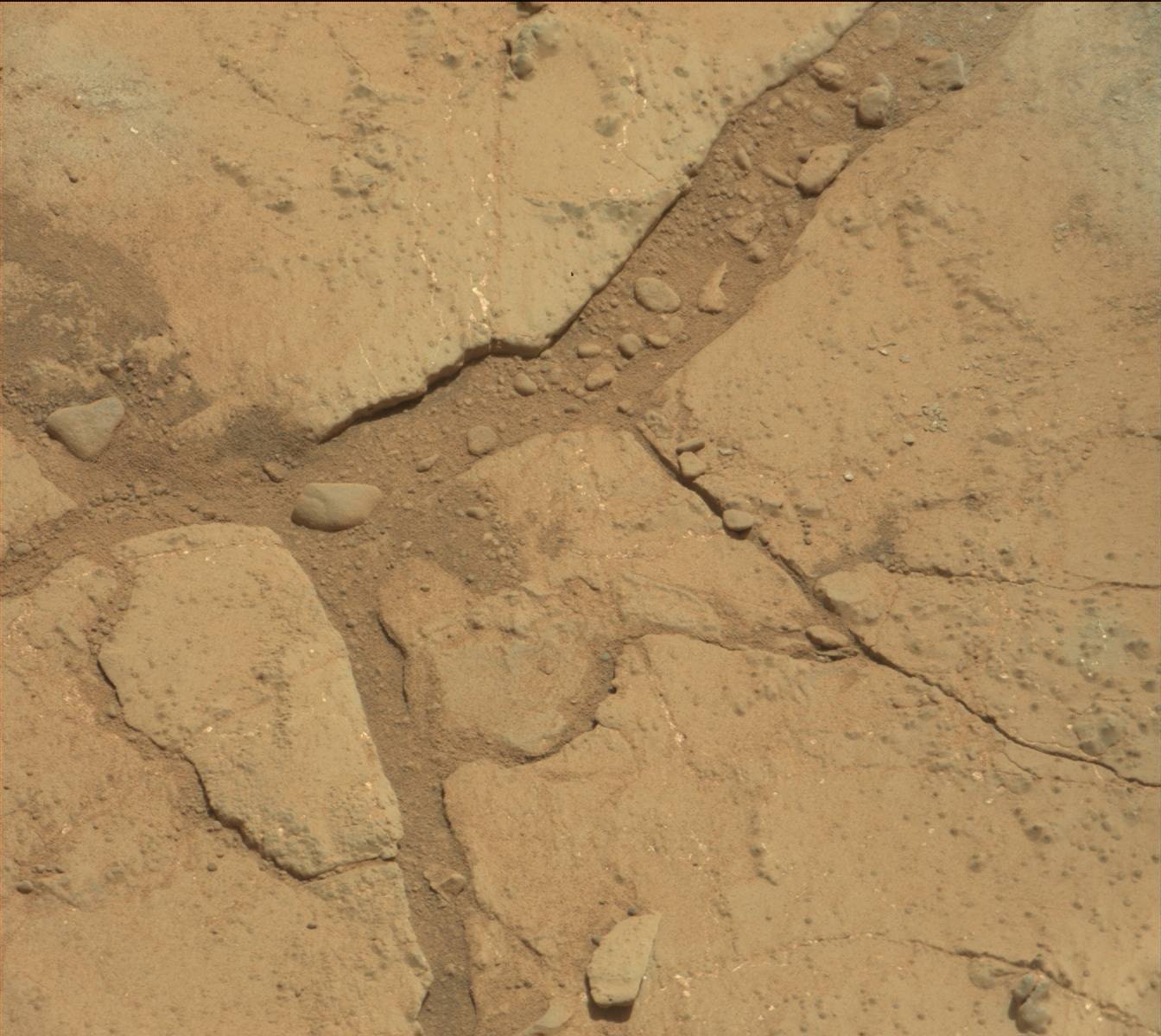 Nasa's Mars rover Curiosity acquired this image using its Mast Camera (Mastcam) on Sol 233