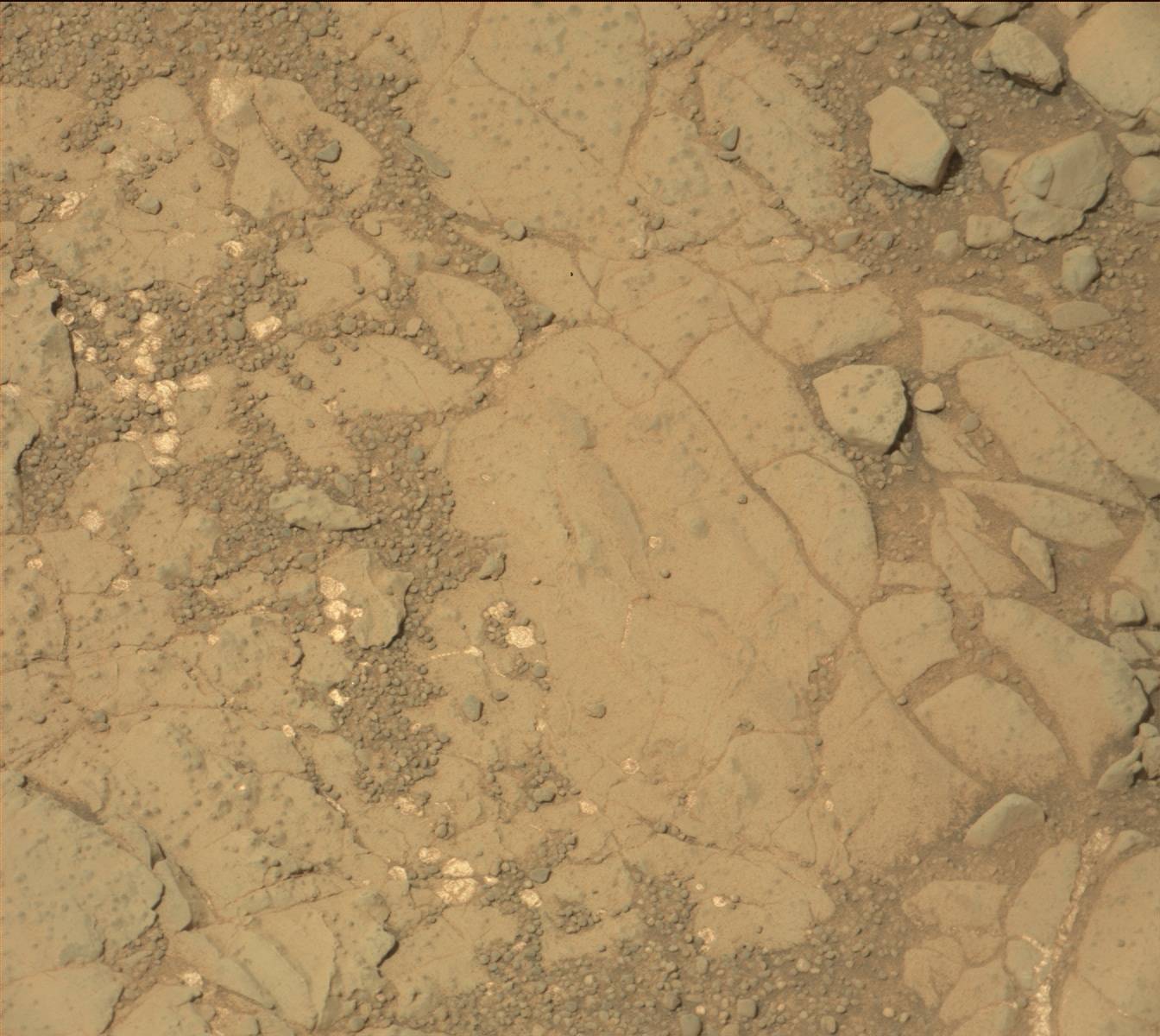 Nasa's Mars rover Curiosity acquired this image using its Mast Camera (Mastcam) on Sol 234