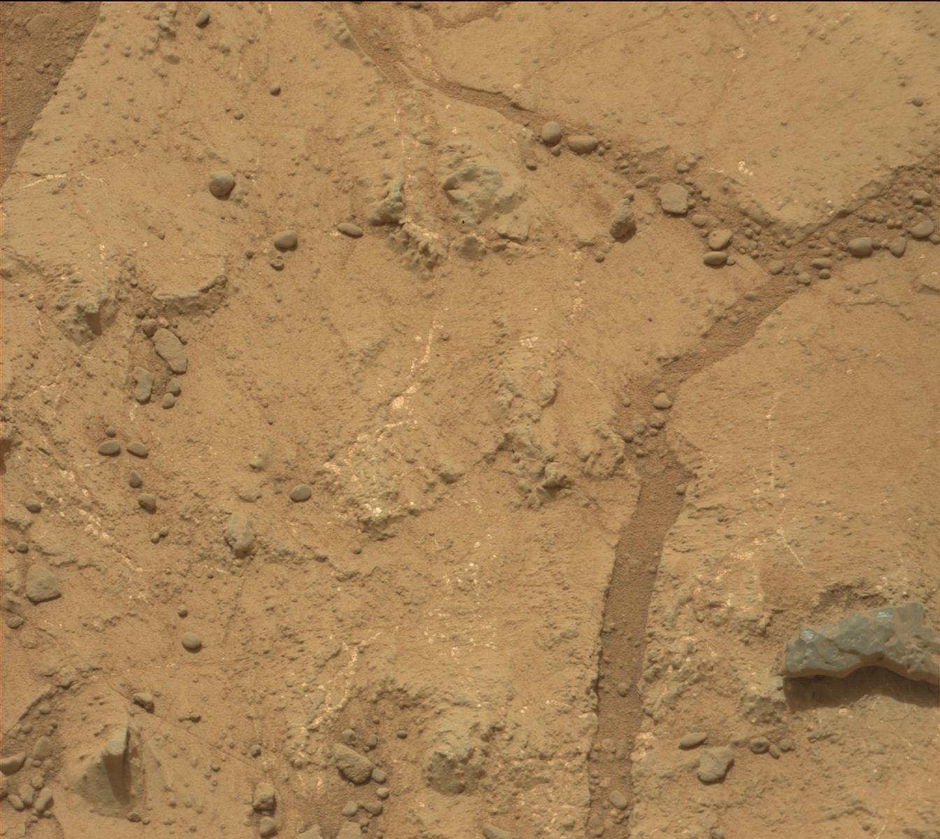 Nasa's Mars rover Curiosity acquired this image using its Mast Camera (Mastcam) on Sol 270