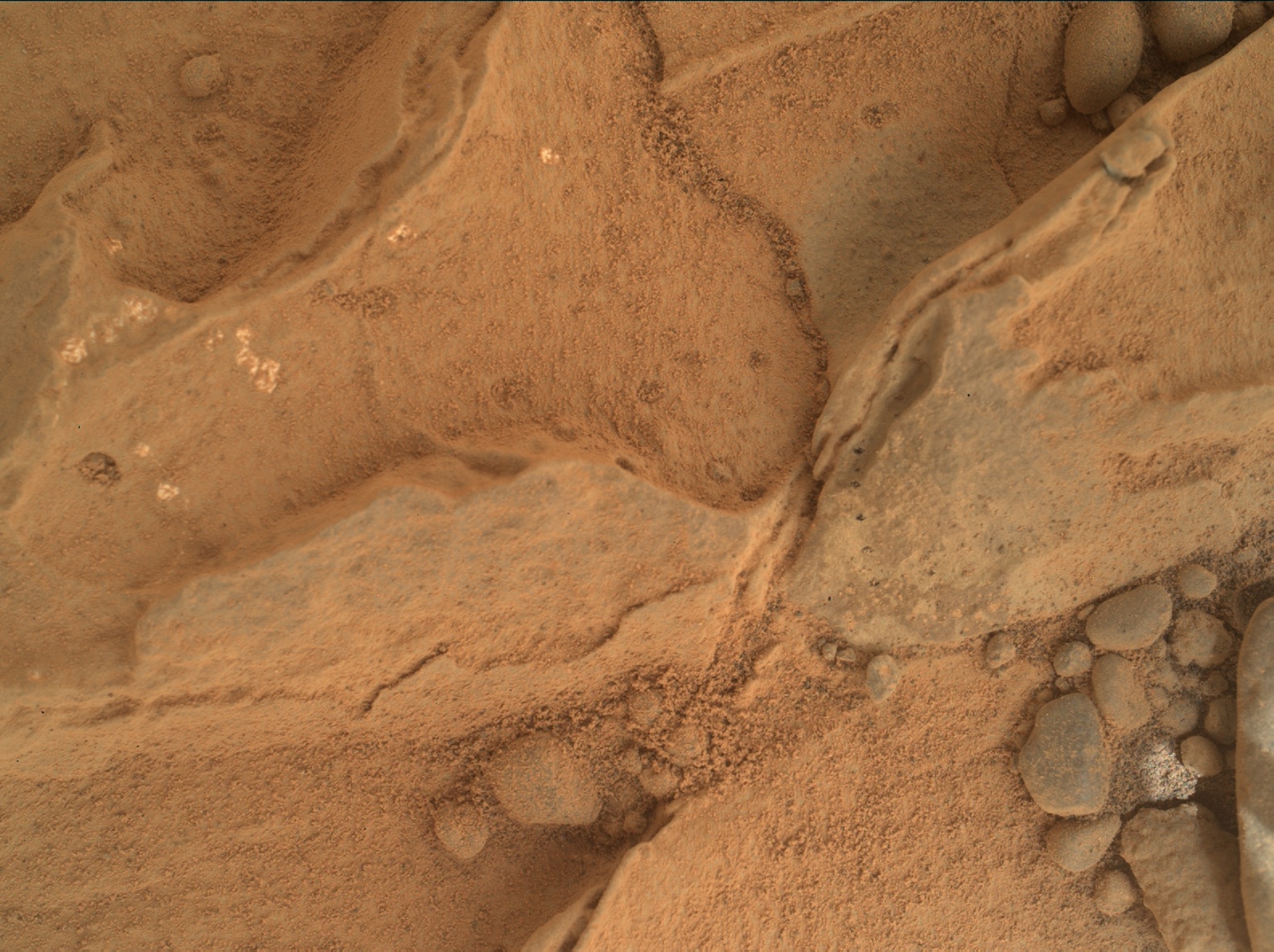 Nasa's Mars rover Curiosity acquired this image using its Mars Hand Lens Imager (MAHLI) on Sol 270