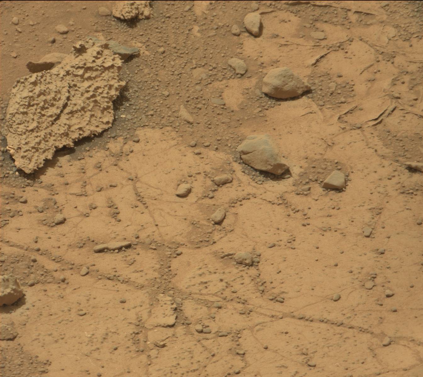 Nasa's Mars rover Curiosity acquired this image using its Mast Camera (Mastcam) on Sol 271