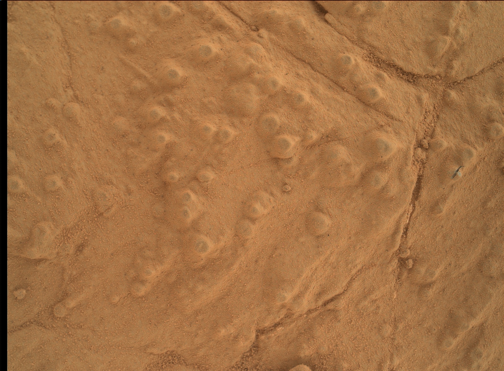 Nasa's Mars rover Curiosity acquired this image using its Mars Hand Lens Imager (MAHLI) on Sol 276